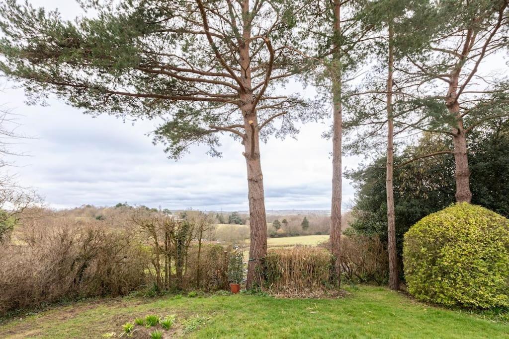 Oak Tree Cottage Uckfield Esterno foto