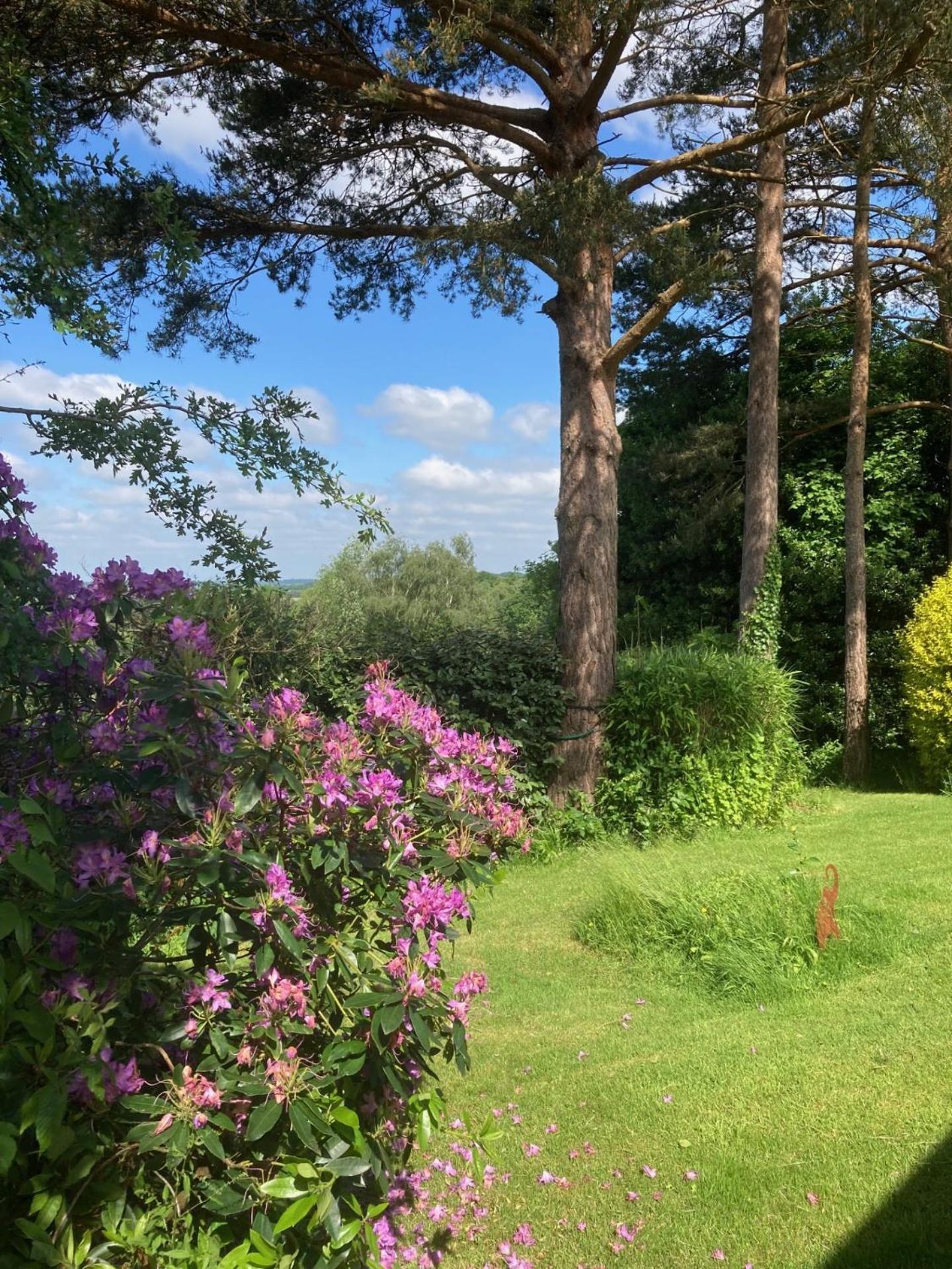Oak Tree Cottage Uckfield Esterno foto