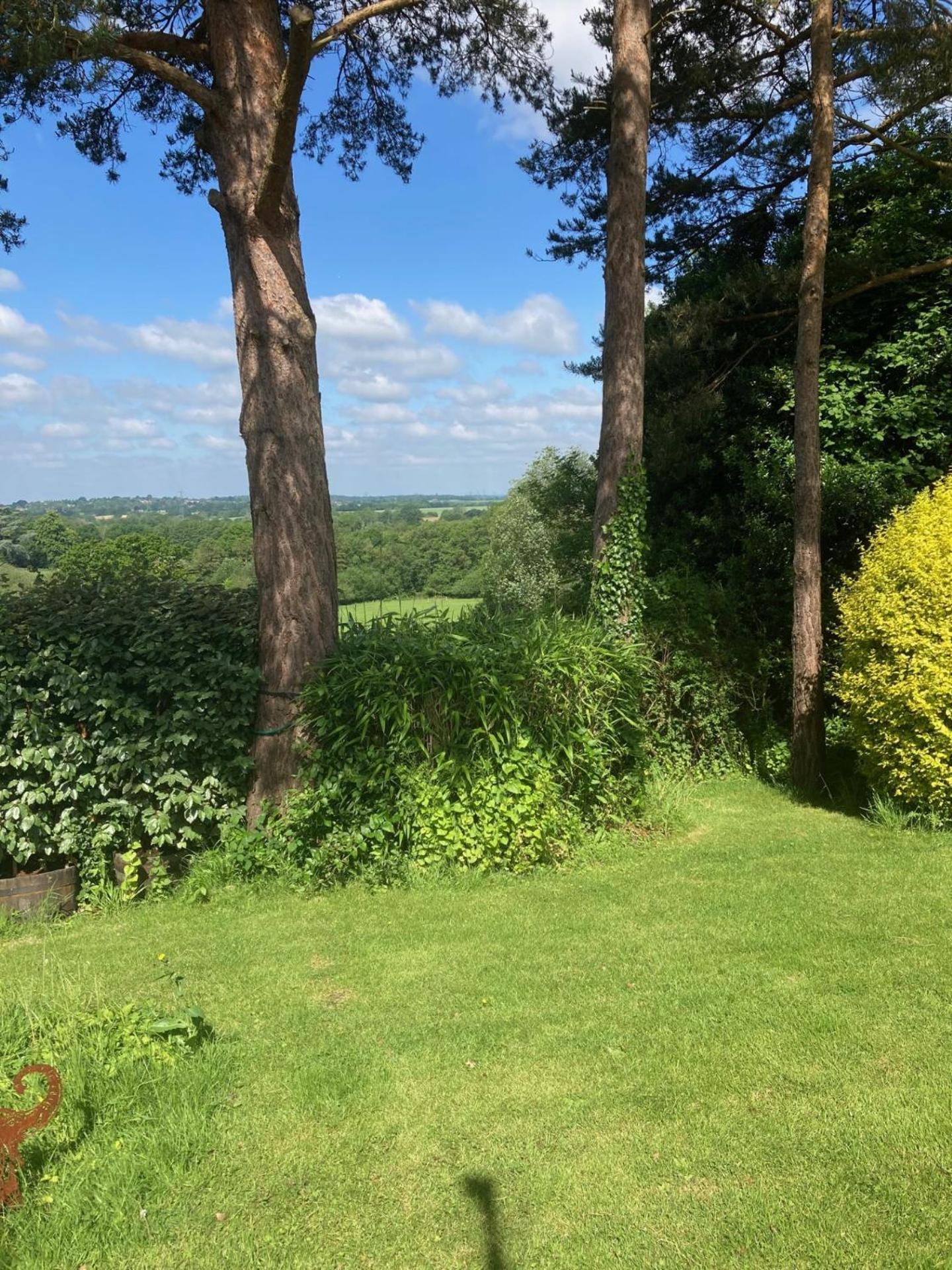 Oak Tree Cottage Uckfield Esterno foto