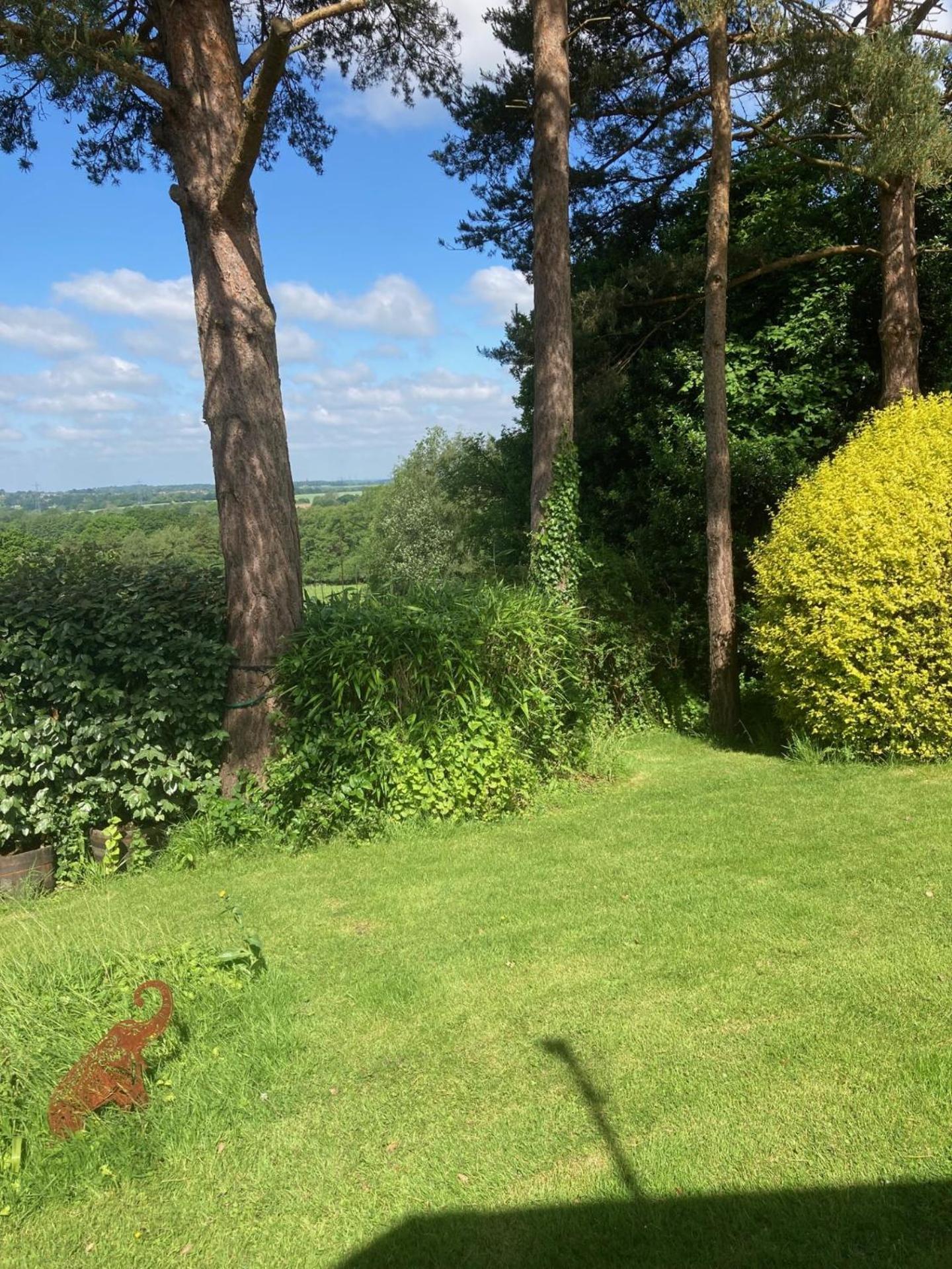 Oak Tree Cottage Uckfield Esterno foto
